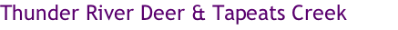 Thunder River Deer & Tapeats Creek
